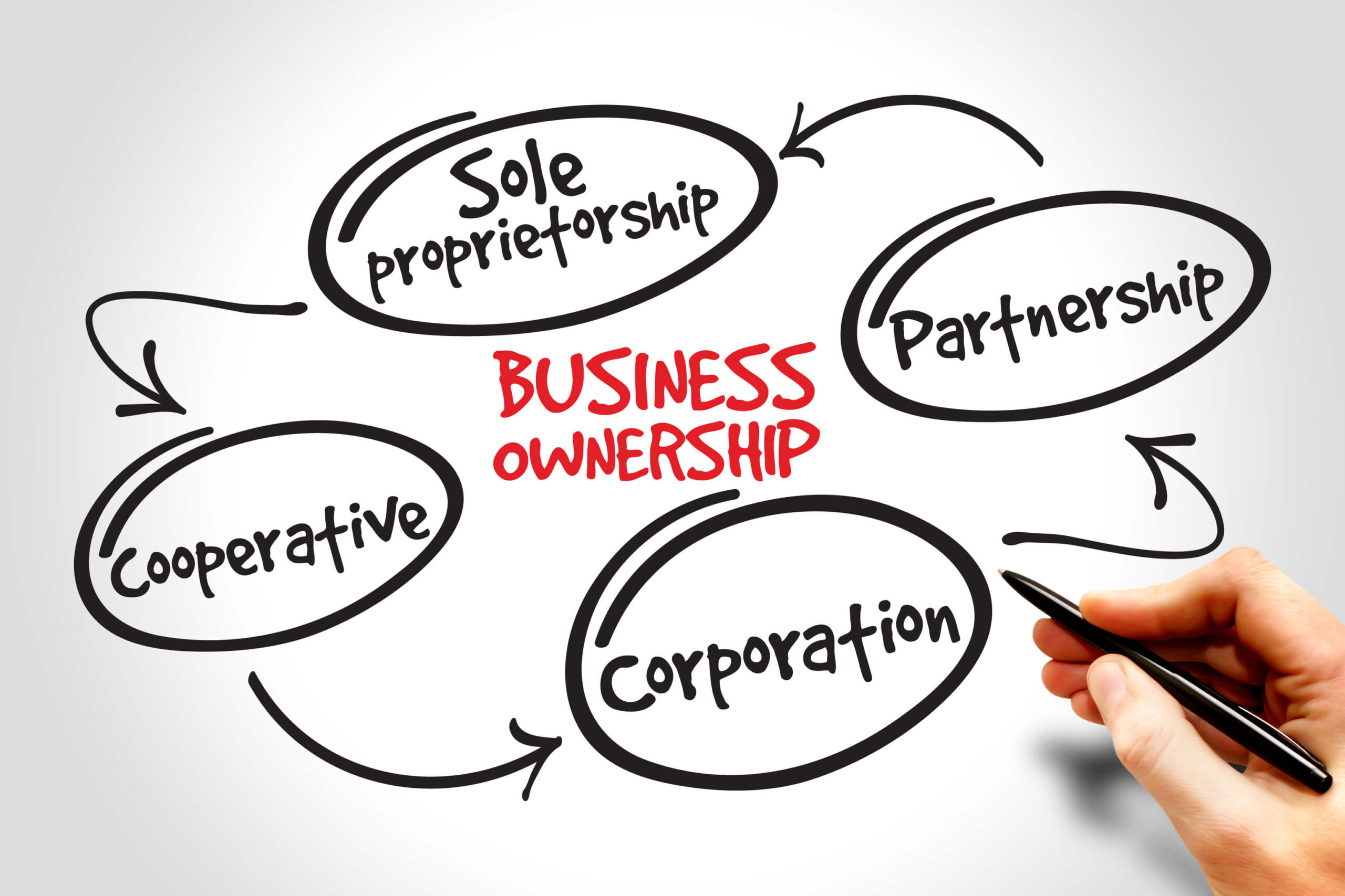 Business Structure—Sole Proprietorship or Partnership