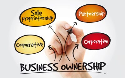 Business Structures LLCs PCs and More