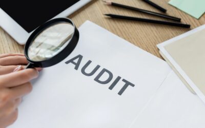 Business Tax Audit