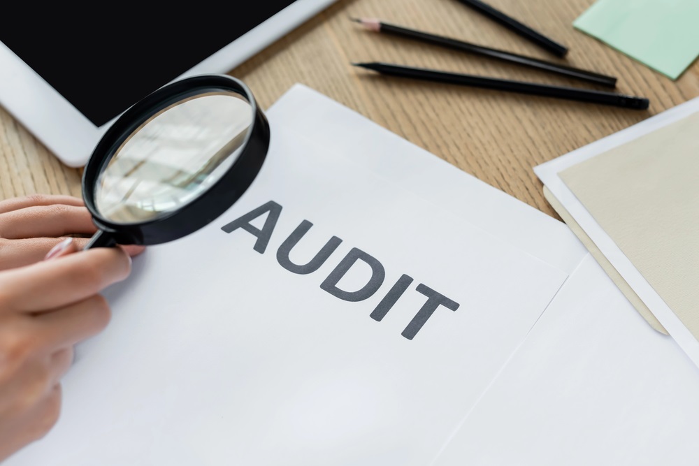 Business Tax Audit
