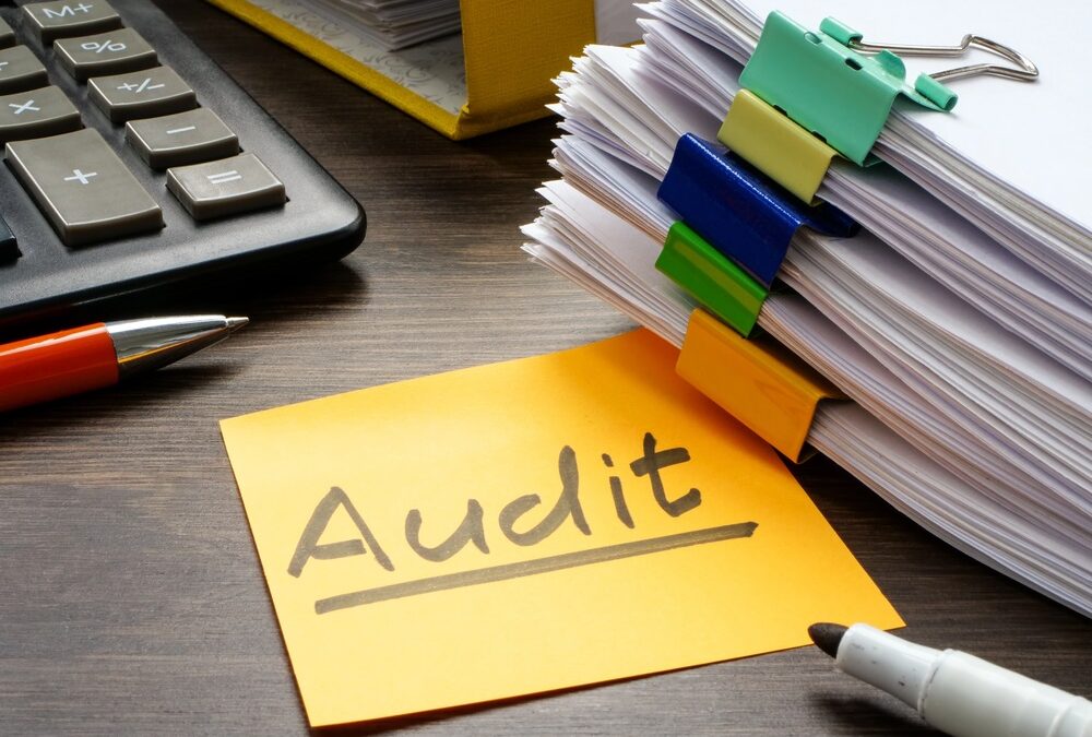 The Importance of Company Audits