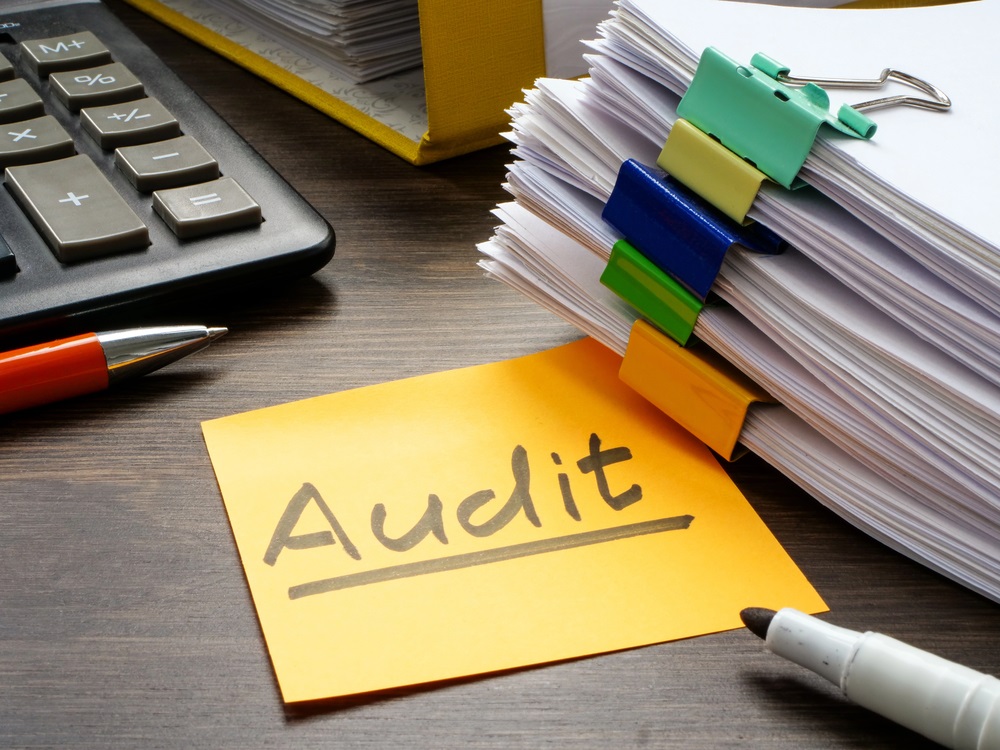 Company Audit