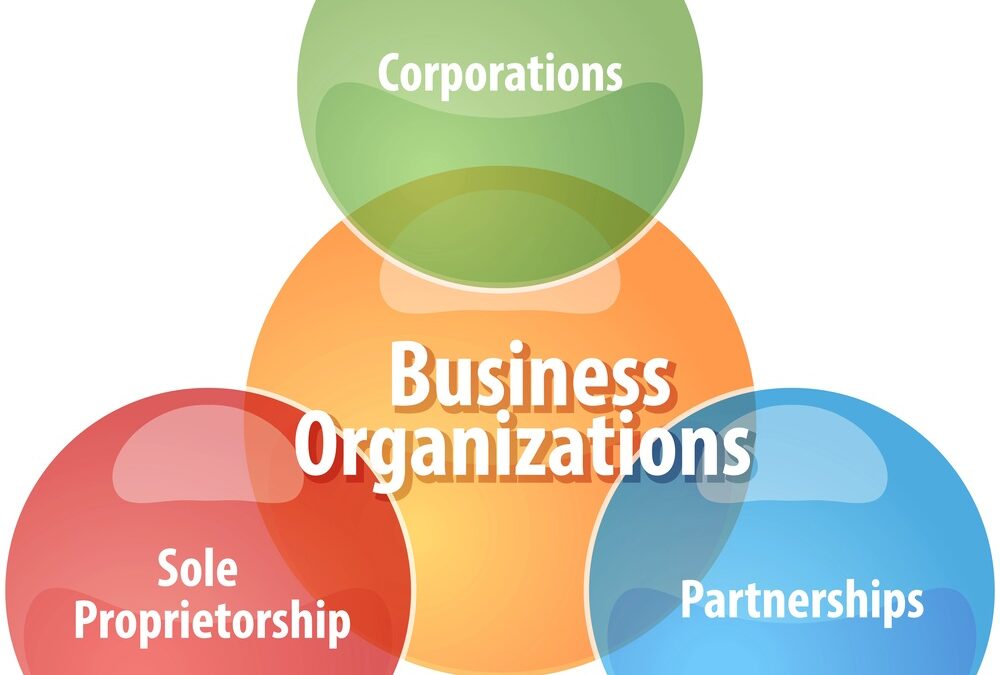 Different Business Structures