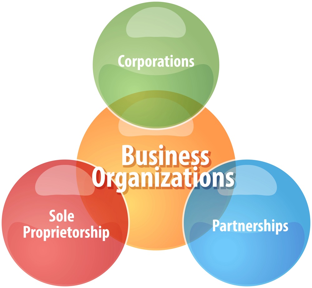 Business Structures